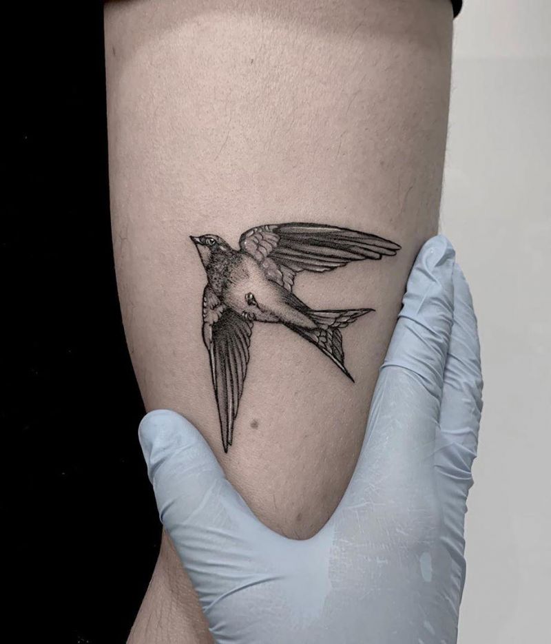 30 Stunning Swallow Tattoos for You to Enjoy