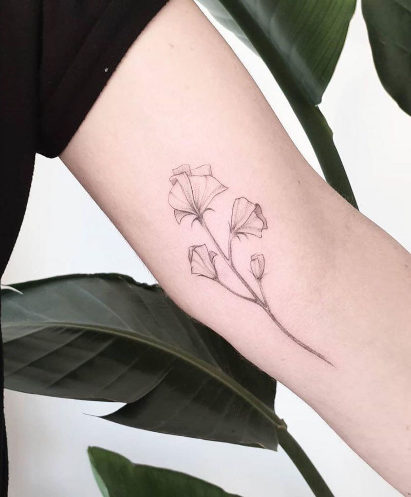 30 Pretty Sweet Pea Tattoos You Will Love