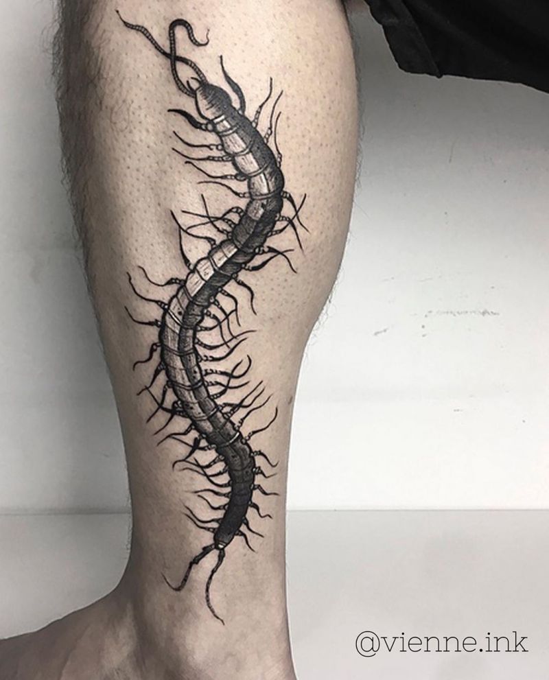 30 Amazing Centipede Tattoos You Will Love to Try