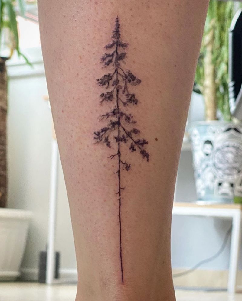 30 Pretty Pine Tattoos You Will Love