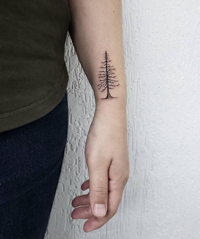 30 Pretty Pine Tattoos You Will Love