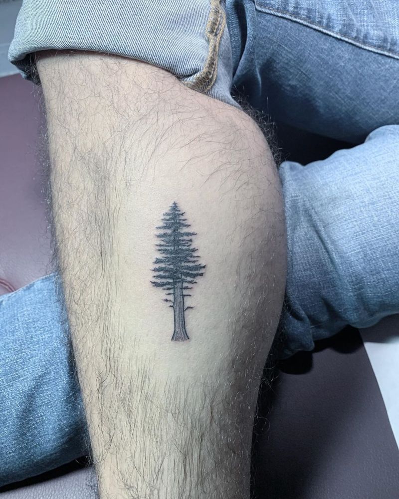 30 Pretty Pine Tattoos You Will Love