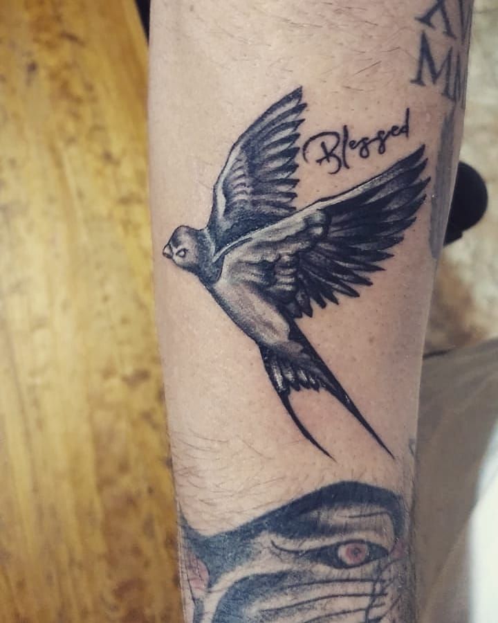 30 Stunning Swallow Tattoos for You to Enjoy