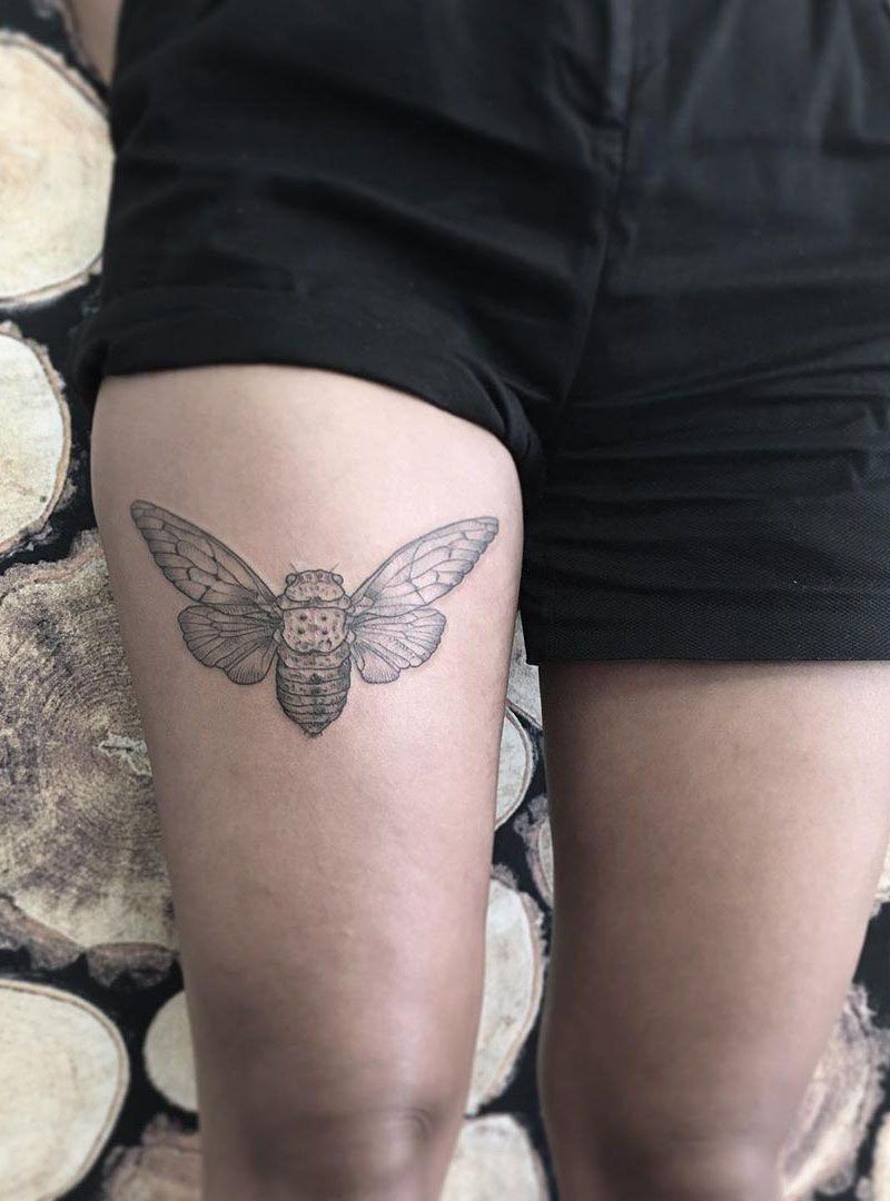 30 Pretty Cicada Tattoos Make You Attractive