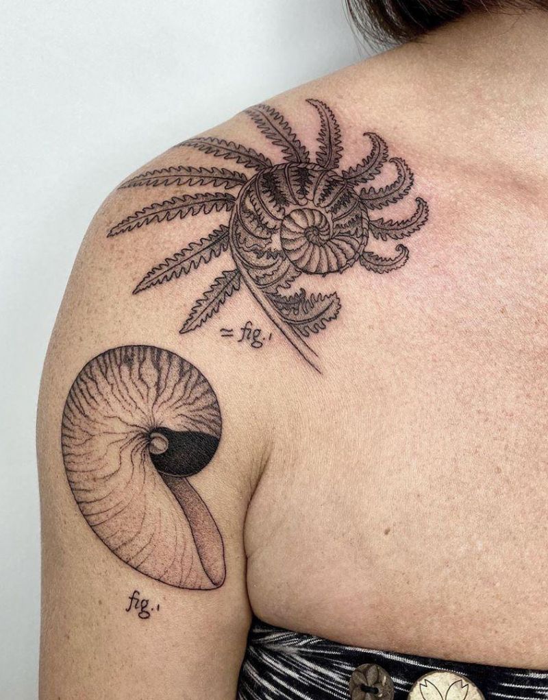30 Pretty Fern Tattoos Improve Your Temperament