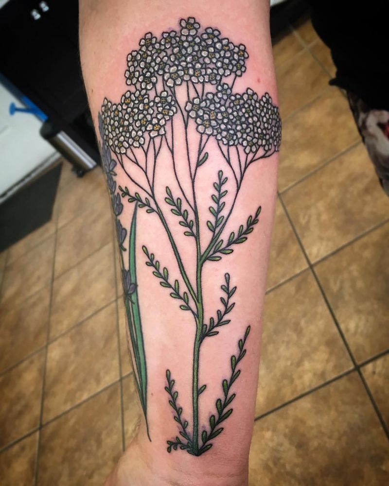 30 Pretty Yarrow Tattoos You Will Love