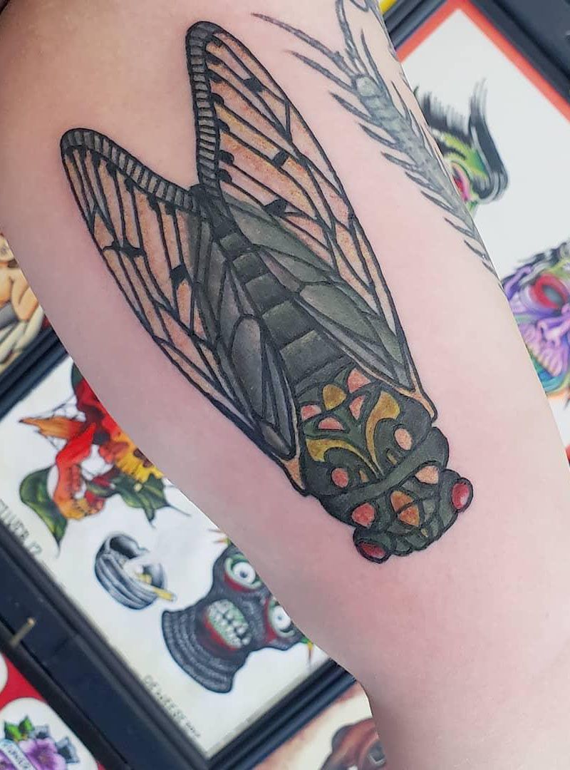 30 Pretty Cicada Tattoos Make You Attractive