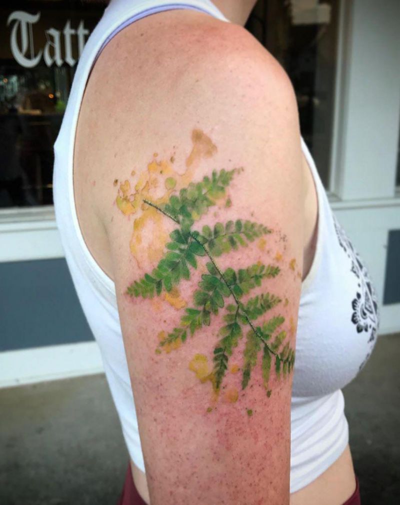 30 Pretty Fern Tattoos Improve Your Temperament