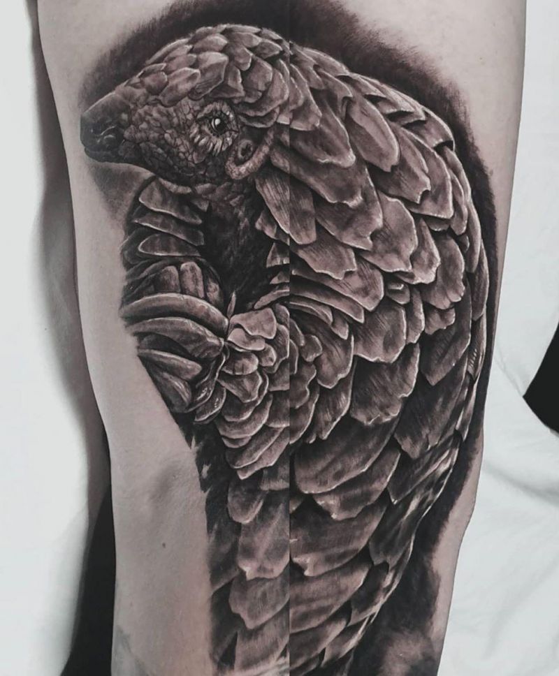 30 Pretty Pangolin Tattoos to Inspire You