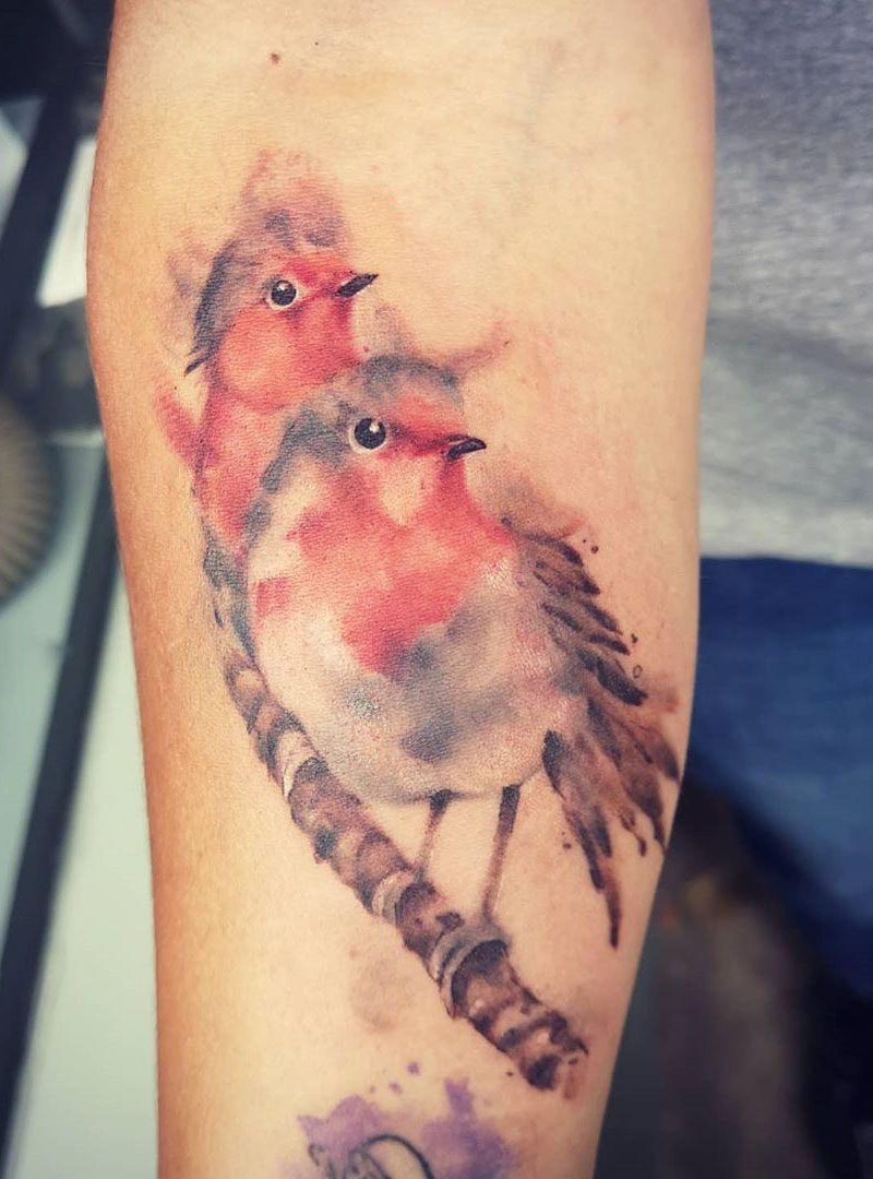 30 Pretty Robin Tattoos You Must Try