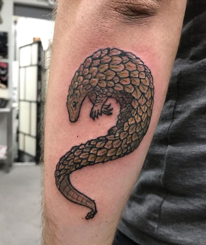 30 Pretty Pangolin Tattoos to Inspire You