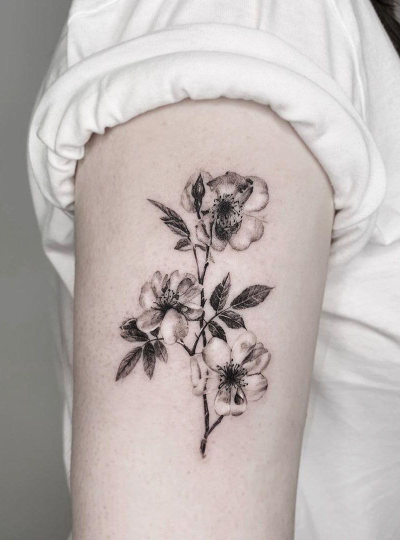 30 Pretty Peach Blossom Tattoos You Shouldn't Miss