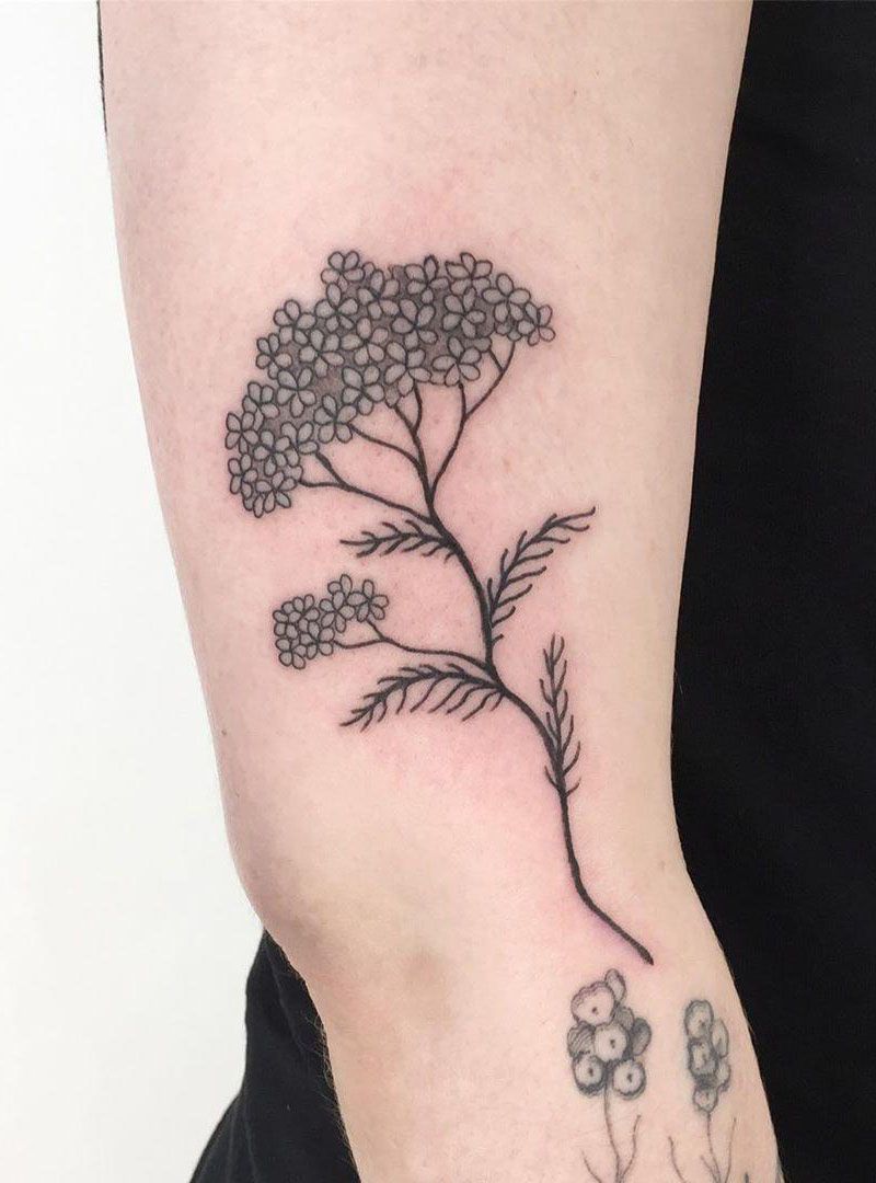 30 Pretty Yarrow Tattoos You Will Love