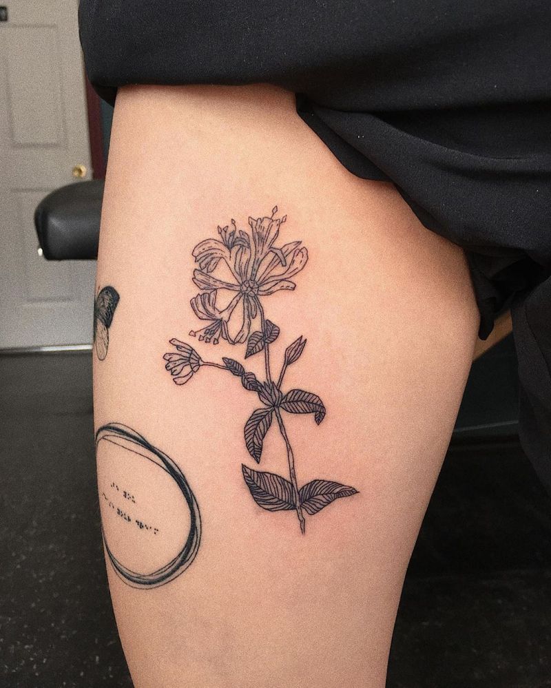 30 Pretty Honeysuckle Tattoos Make You Very Attractive