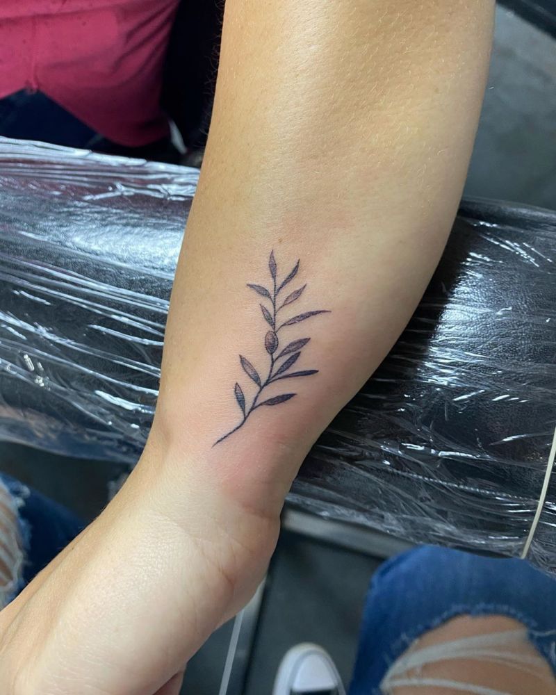 30 Pretty Olive Branch Tattoos You Will Love