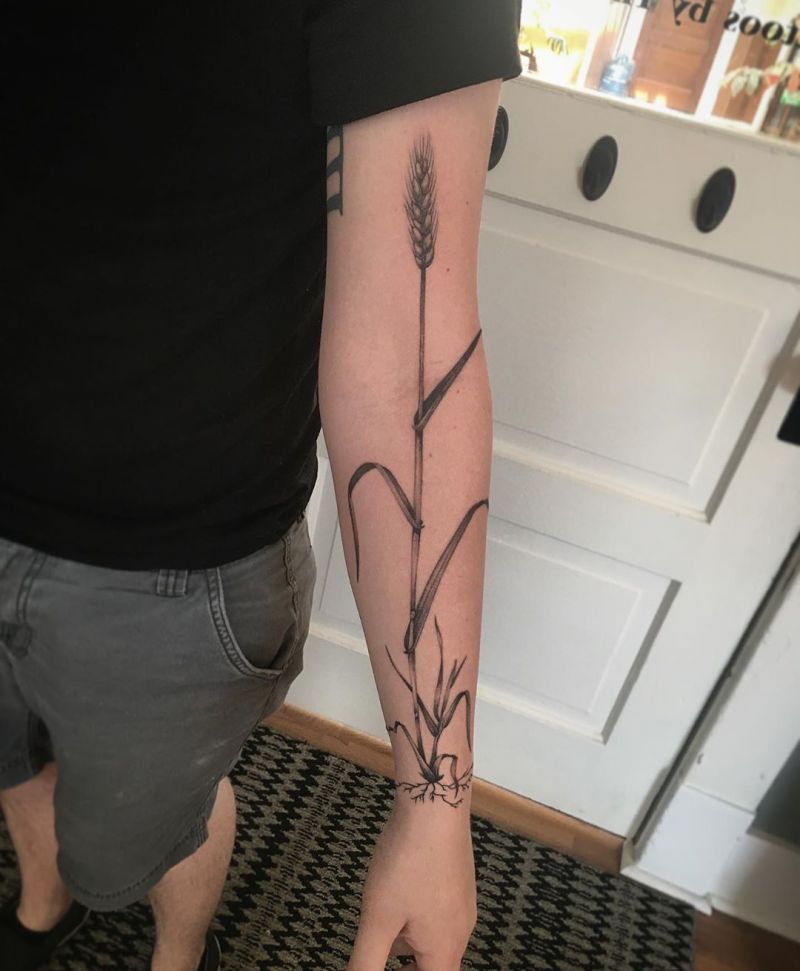 30 Pretty Wheat Tattoos to Inspire You