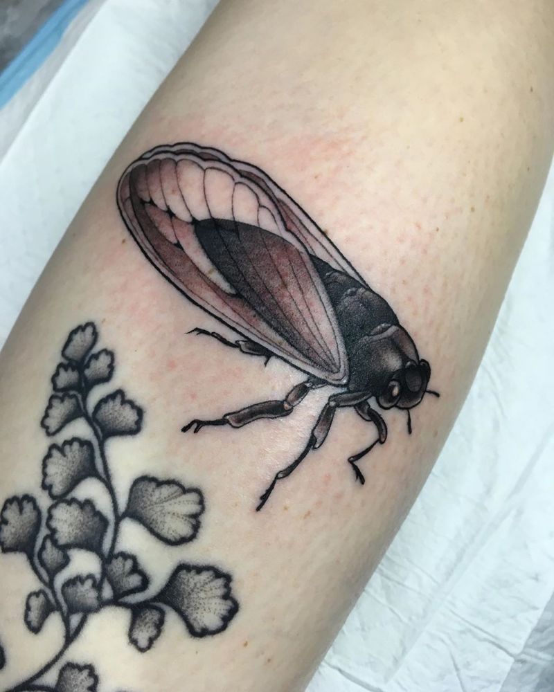 30 Pretty Cicada Tattoos Make You Attractive