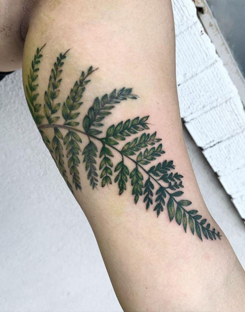 30 Pretty Fern Tattoos Improve Your Temperament