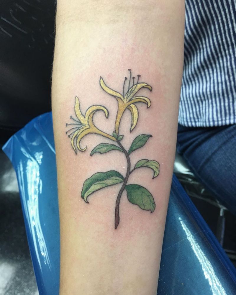 30 Pretty Honeysuckle Tattoos Make You Very Attractive