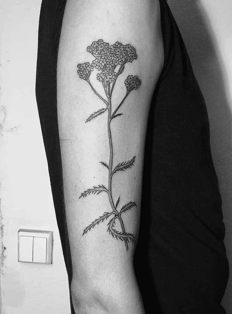 30 Pretty Yarrow Tattoos You Will Love