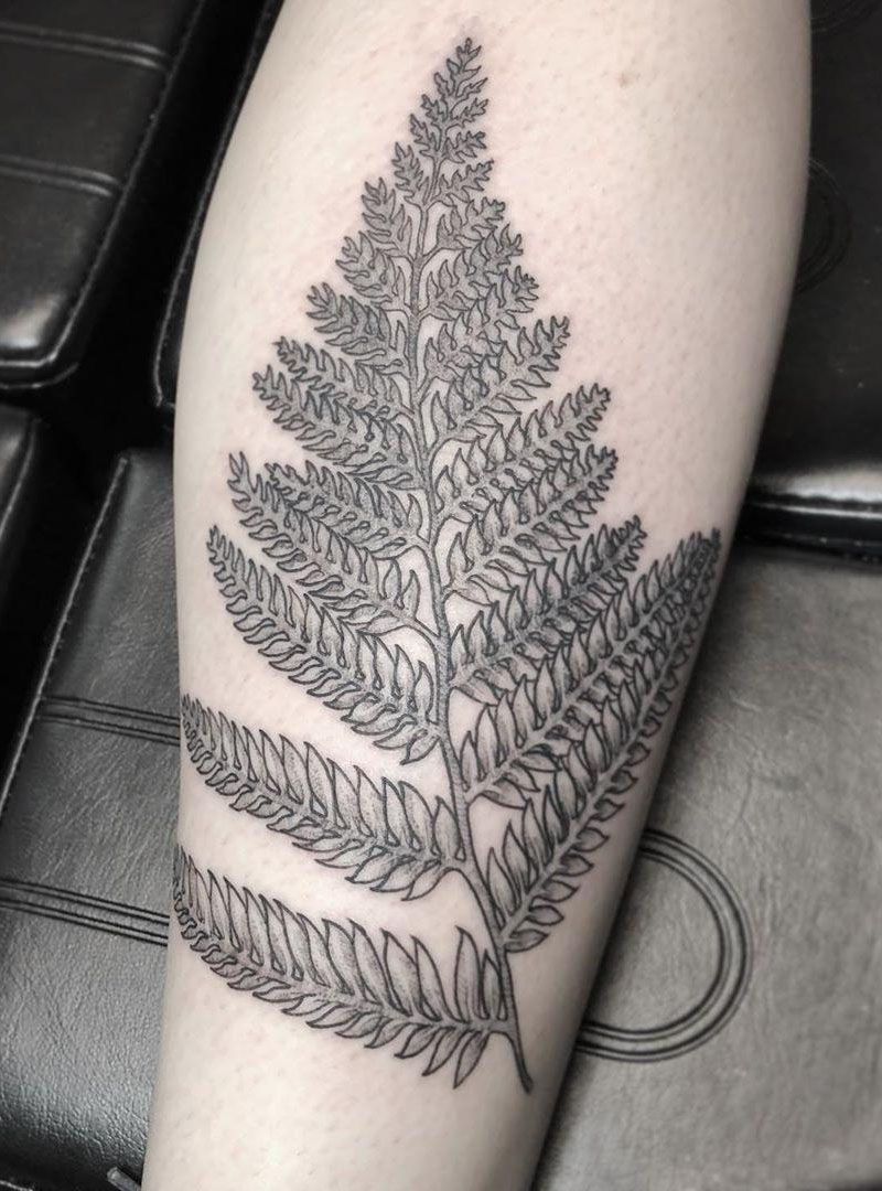 30 Pretty Fern Tattoos Improve Your Temperament