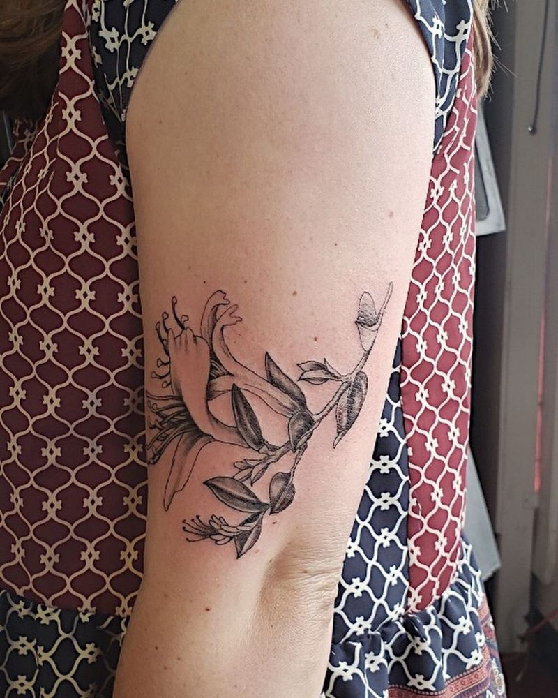 30 Pretty Honeysuckle Tattoos Make You Very Attractive