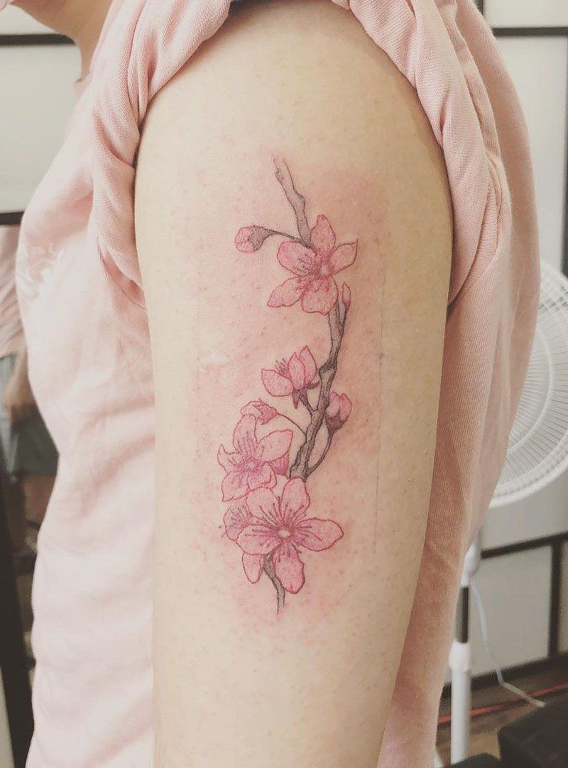 30 Pretty Plum Blossom Tattoos Make You Attractive