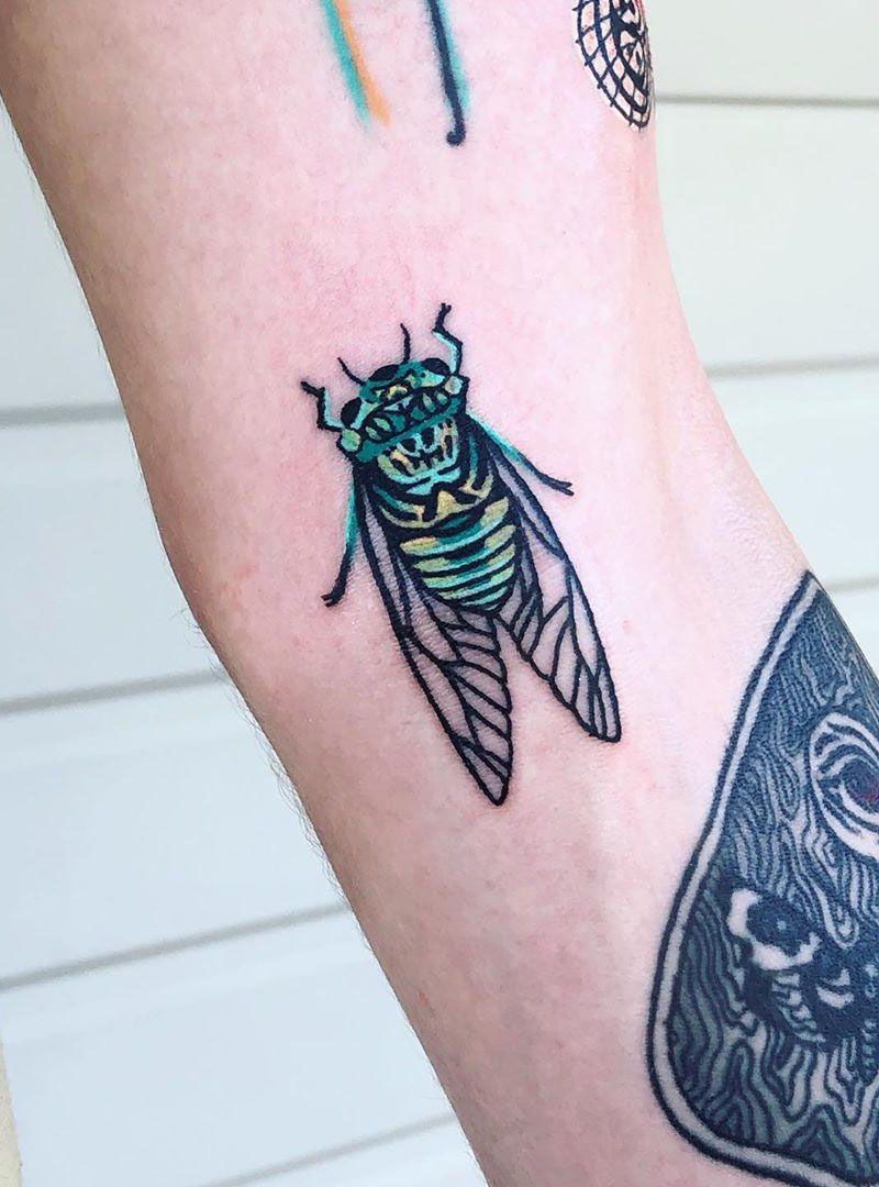 30 Pretty Cicada Tattoos Make You Attractive