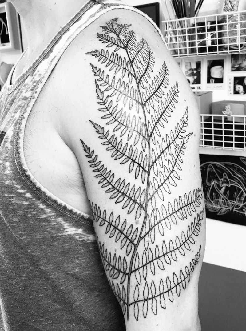 30 Pretty Fern Tattoos Improve Your Temperament