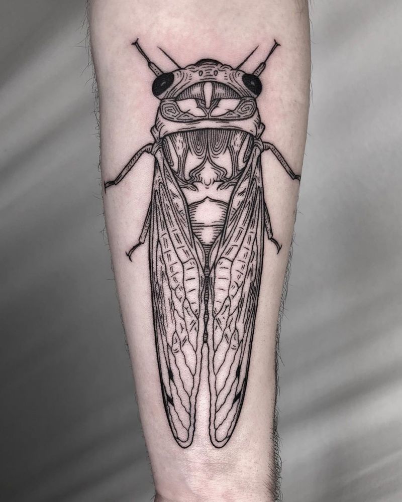 30 Pretty Cicada Tattoos Make You Attractive