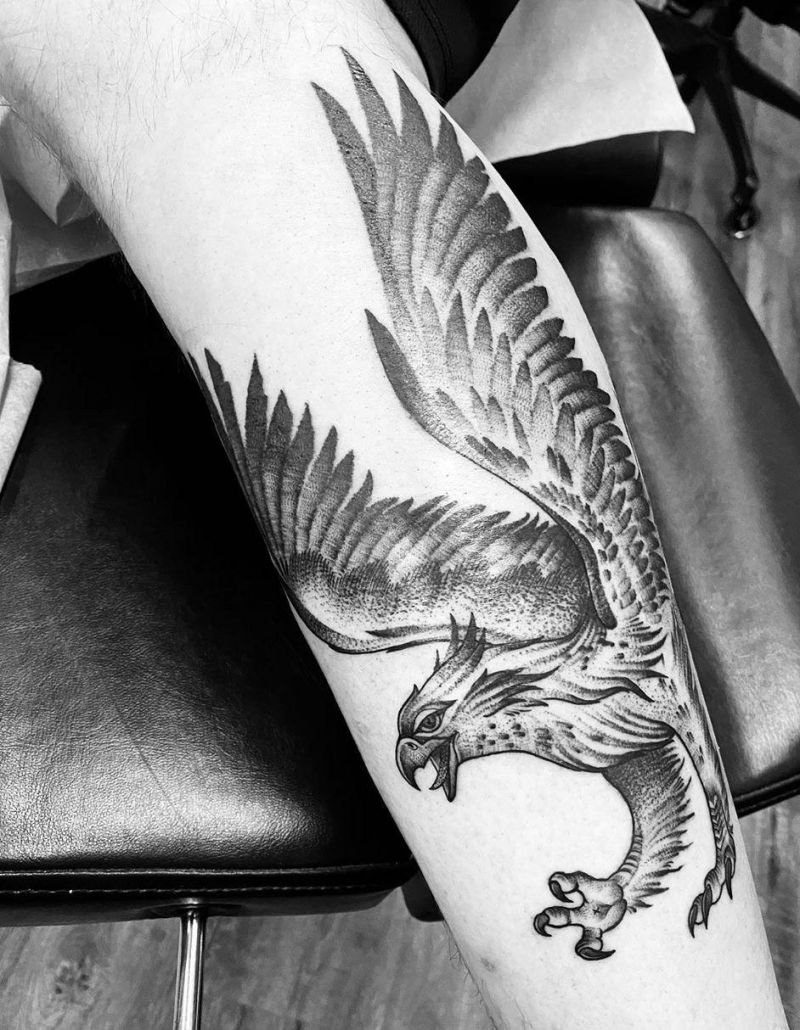 30 Pretty Griffin Tattoos Improve Your Temperament