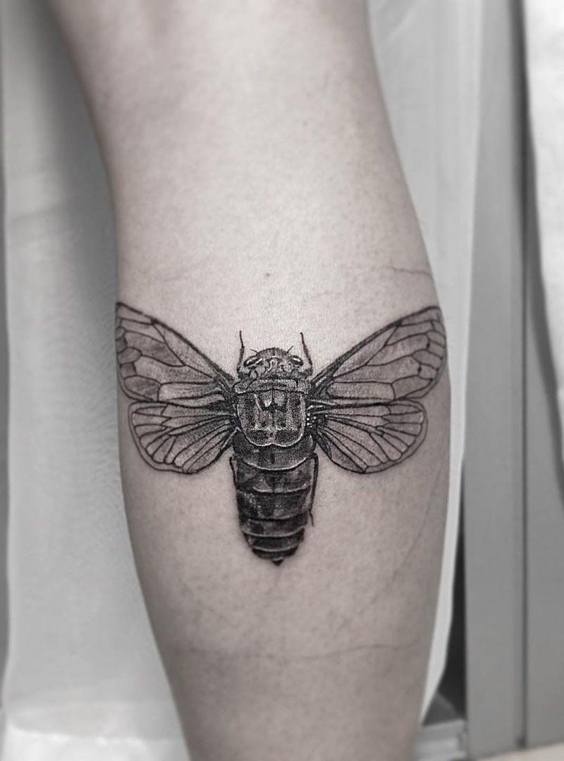 30 Pretty Cicada Tattoos Make You Attractive