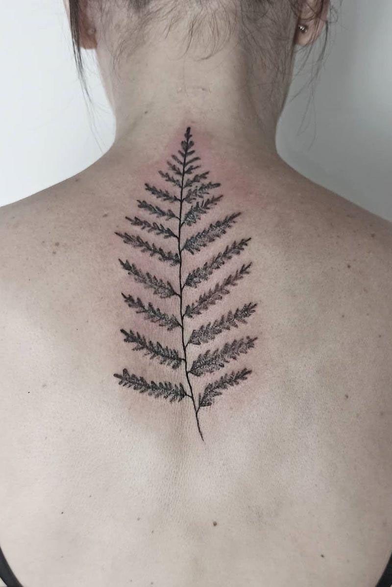 30 Pretty Fern Tattoos Improve Your Temperament