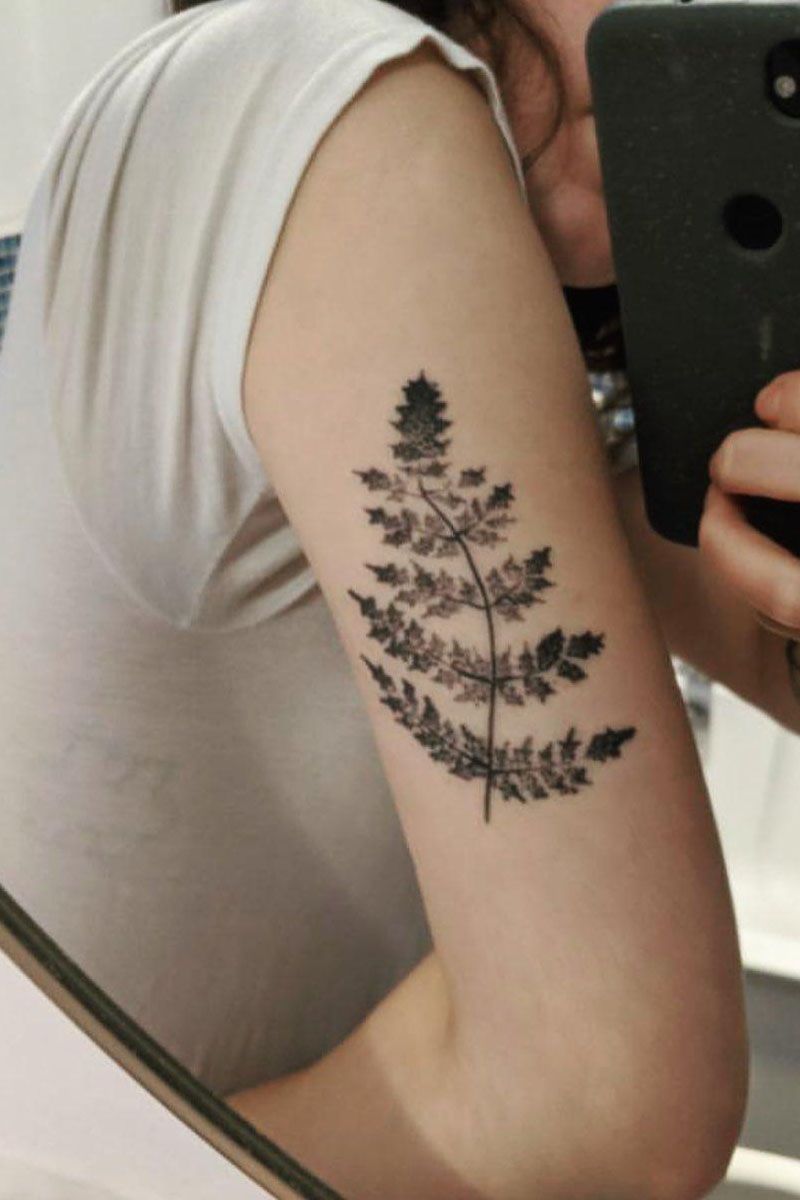 30 Pretty Fern Tattoos Improve Your Temperament