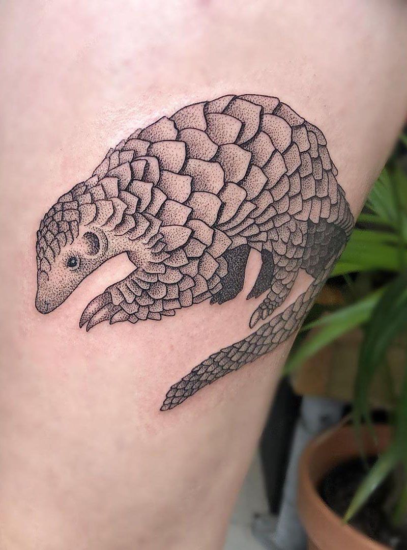 30 Pretty Pangolin Tattoos to Inspire You