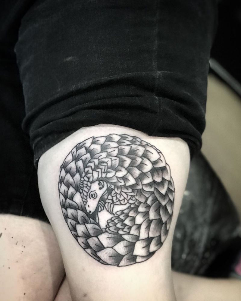 30 Pretty Pangolin Tattoos to Inspire You