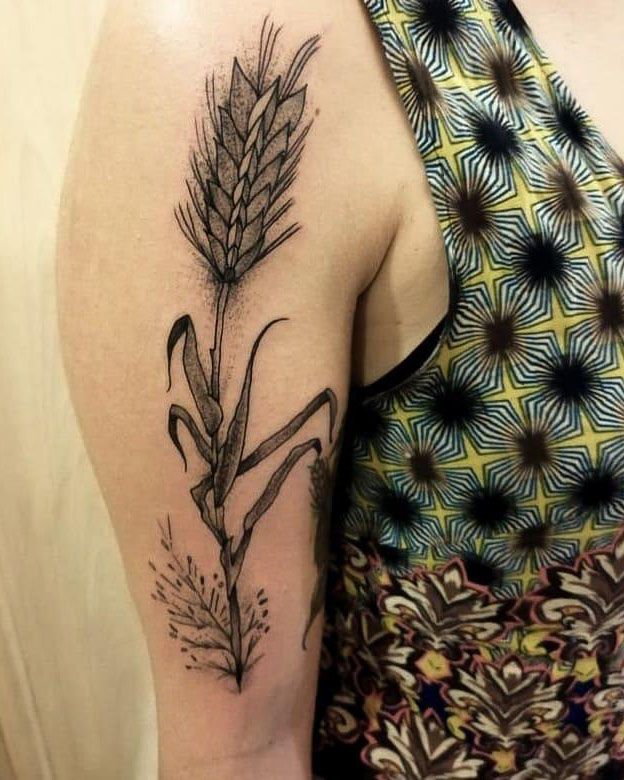 30 Pretty Wheat Tattoos to Inspire You