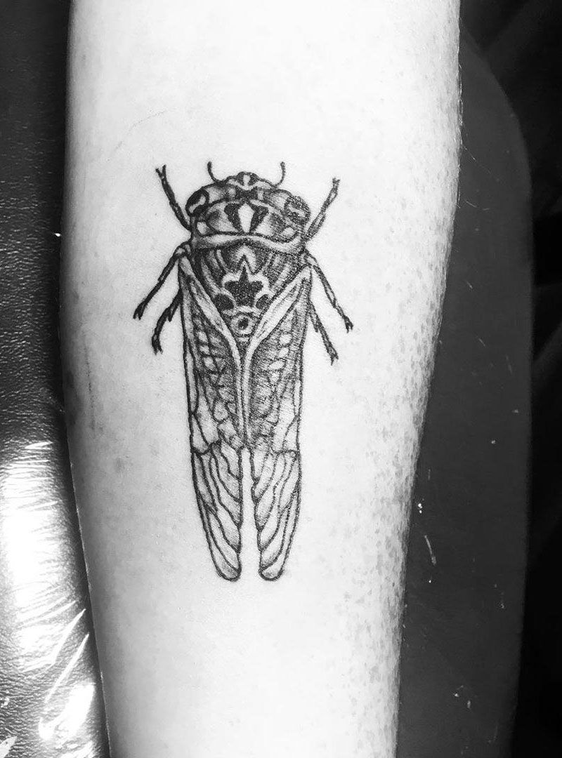 30 Pretty Cicada Tattoos Make You Attractive