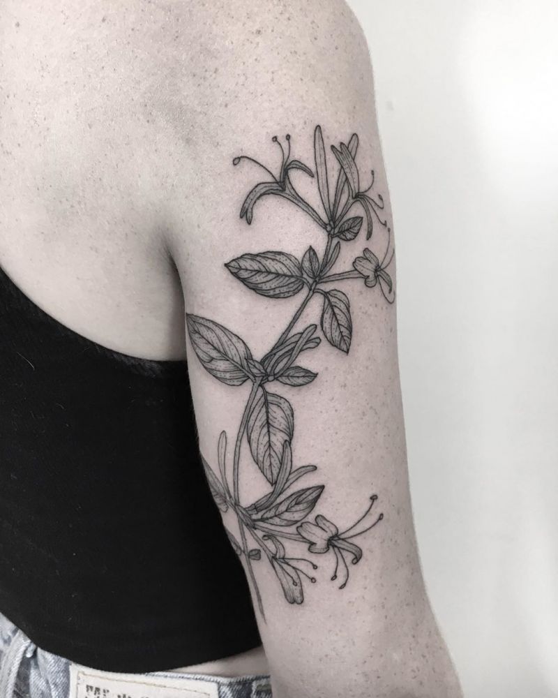 30 Pretty Honeysuckle Tattoos Make You Very Attractive