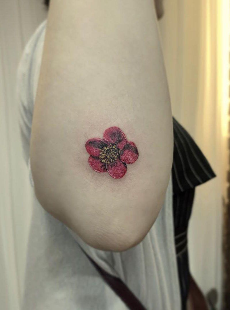 30 Pretty Plum Blossom Tattoos Make You Attractive