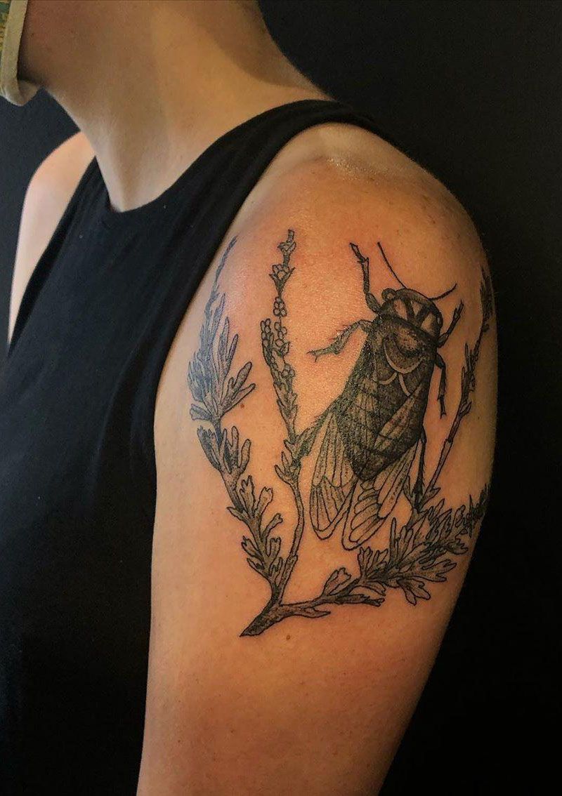 30 Pretty Cicada Tattoos Make You Attractive