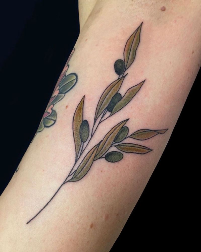 30 Pretty Olive Branch Tattoos You Will Love