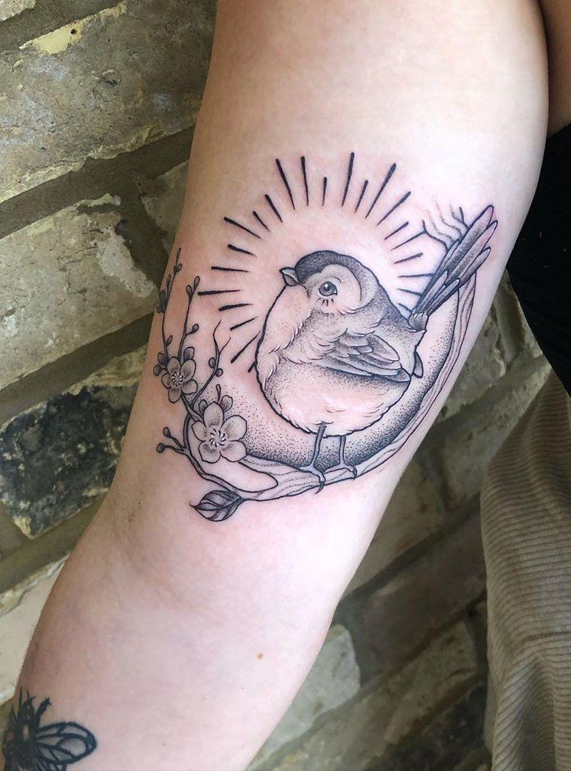 30 Pretty Robin Tattoos You Must Try