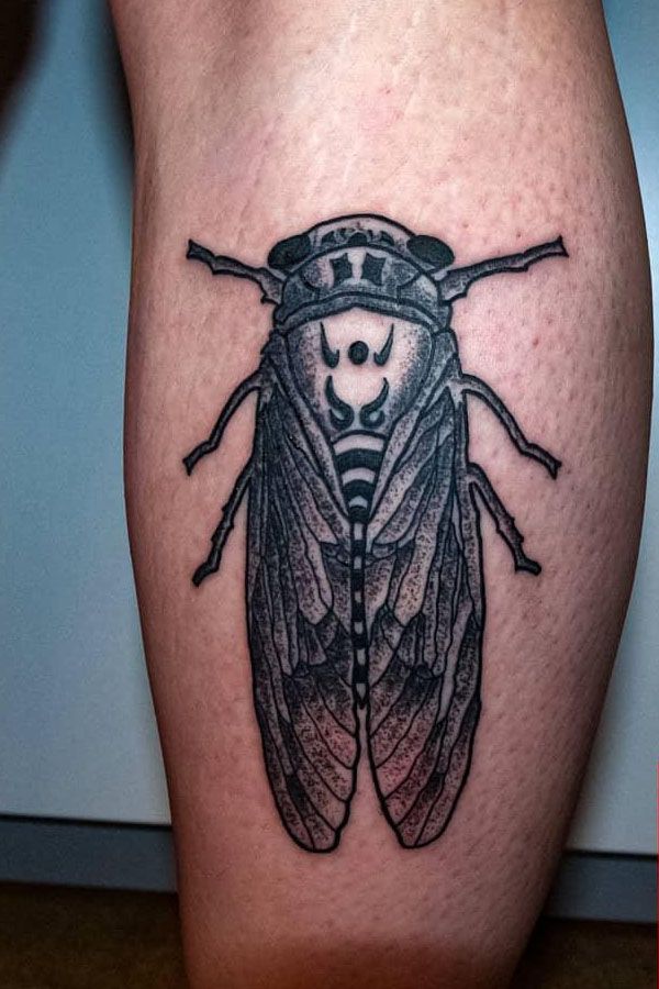 30 Pretty Cicada Tattoos Make You Attractive