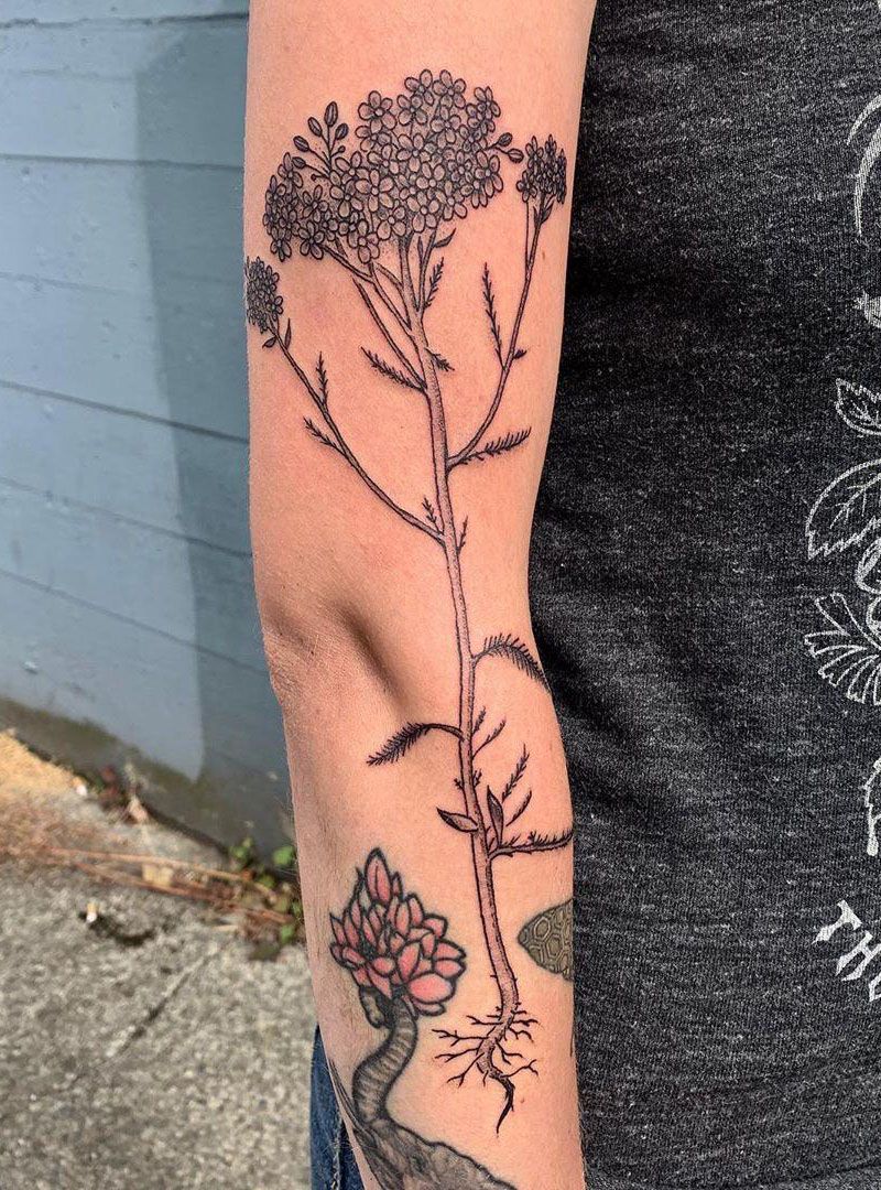 30 Pretty Yarrow Tattoos You Will Love