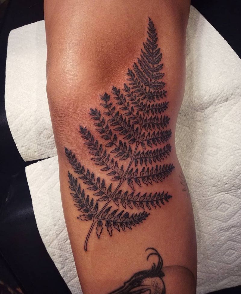 30 Pretty Fern Tattoos Improve Your Temperament