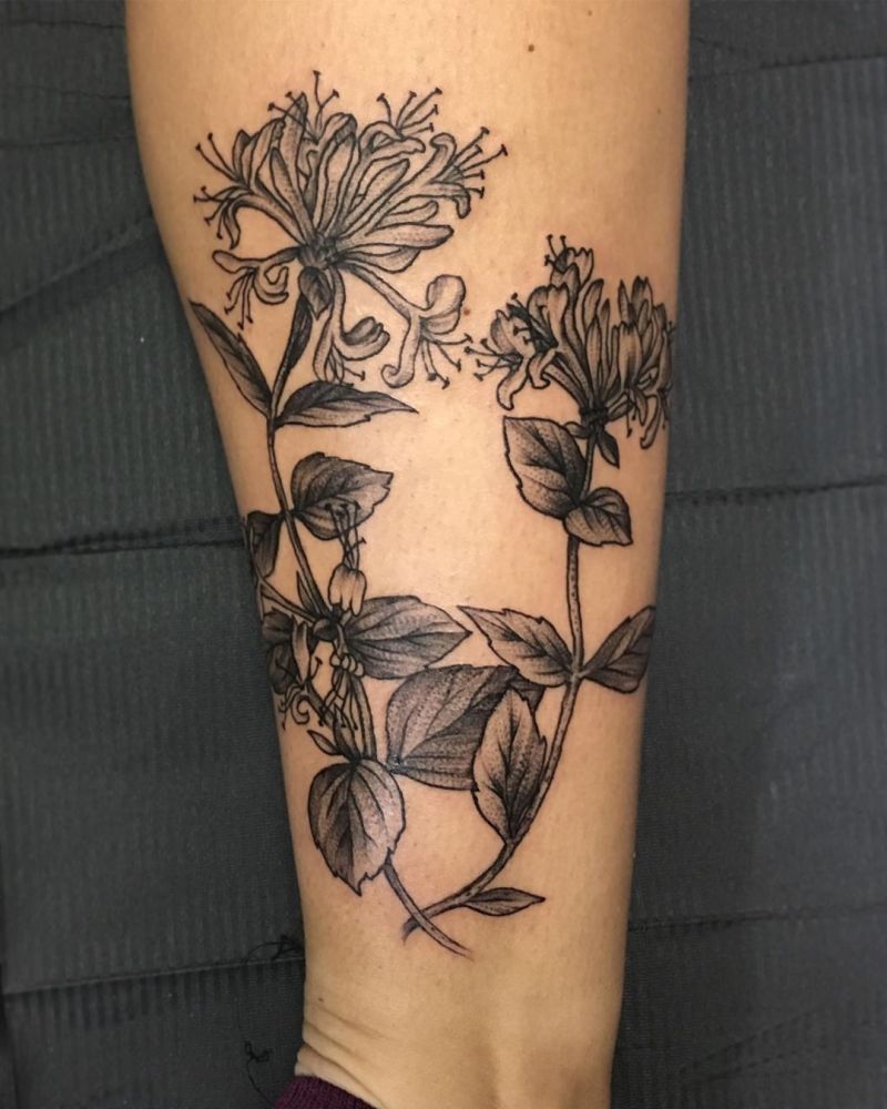 30 Pretty Honeysuckle Tattoos Make You Very Attractive