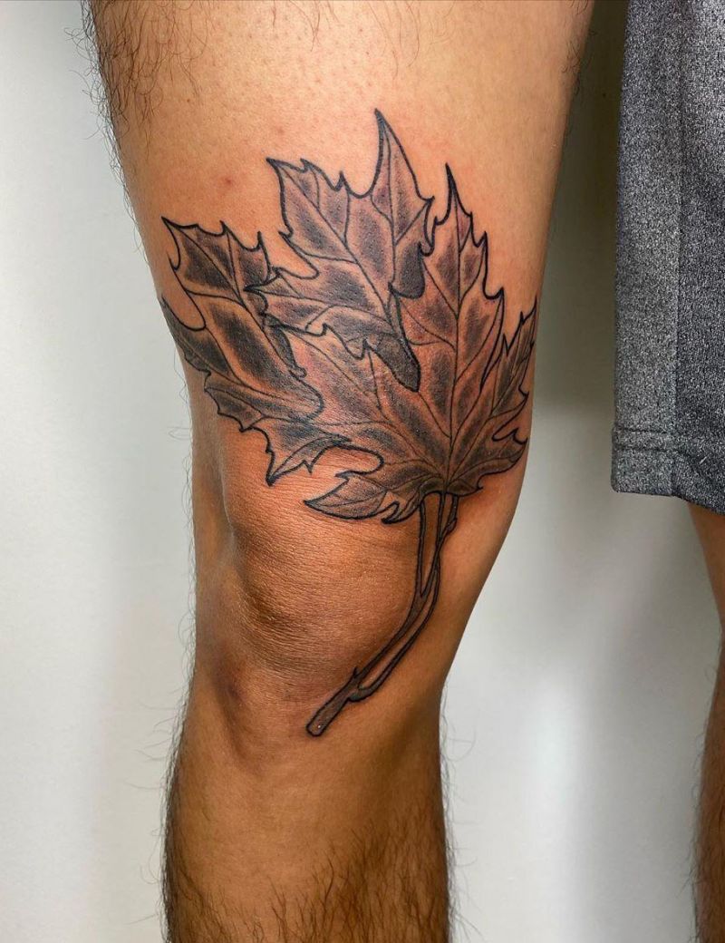 30 Elegant Maple Leaf Tattoos for Your Inspiration