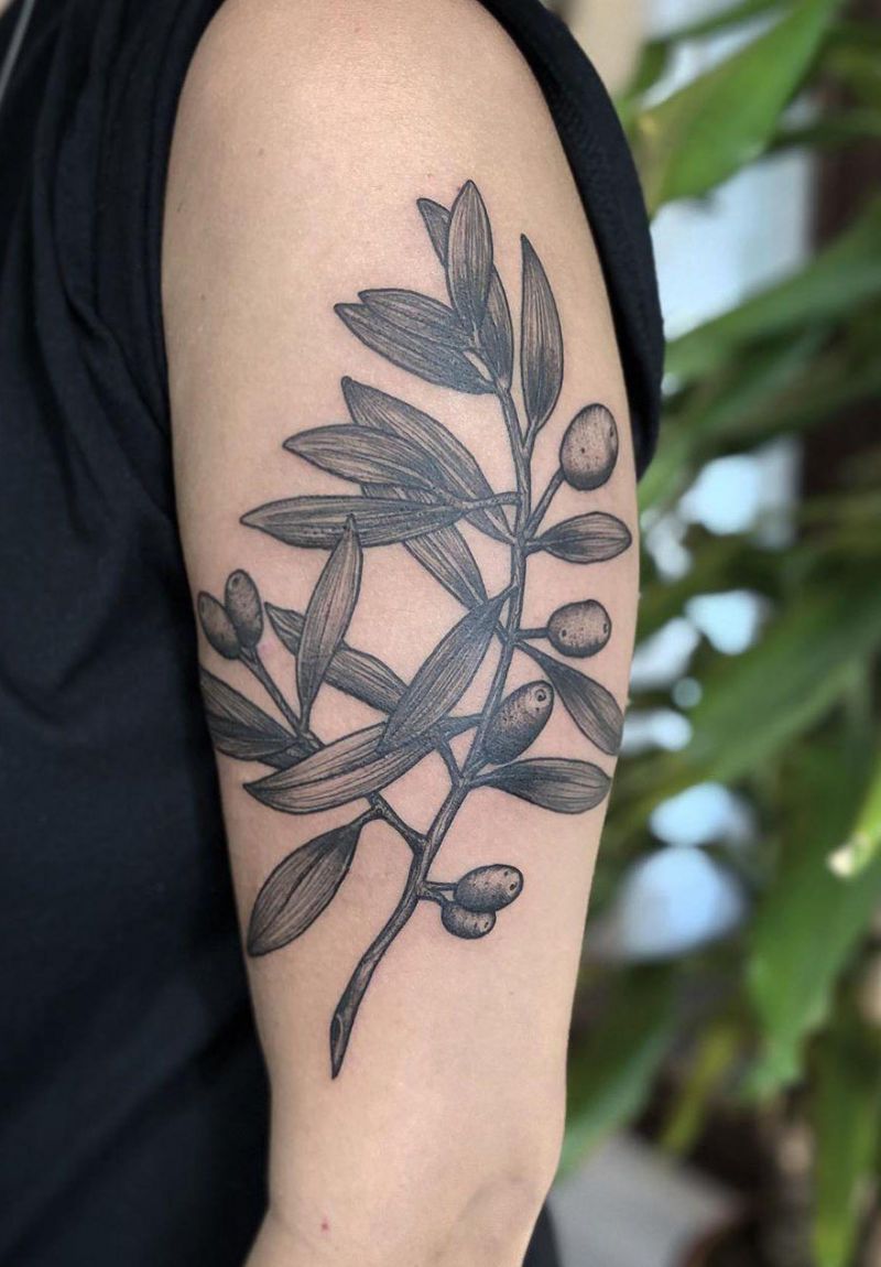 30 Pretty Olive Branch Tattoos You Will Love