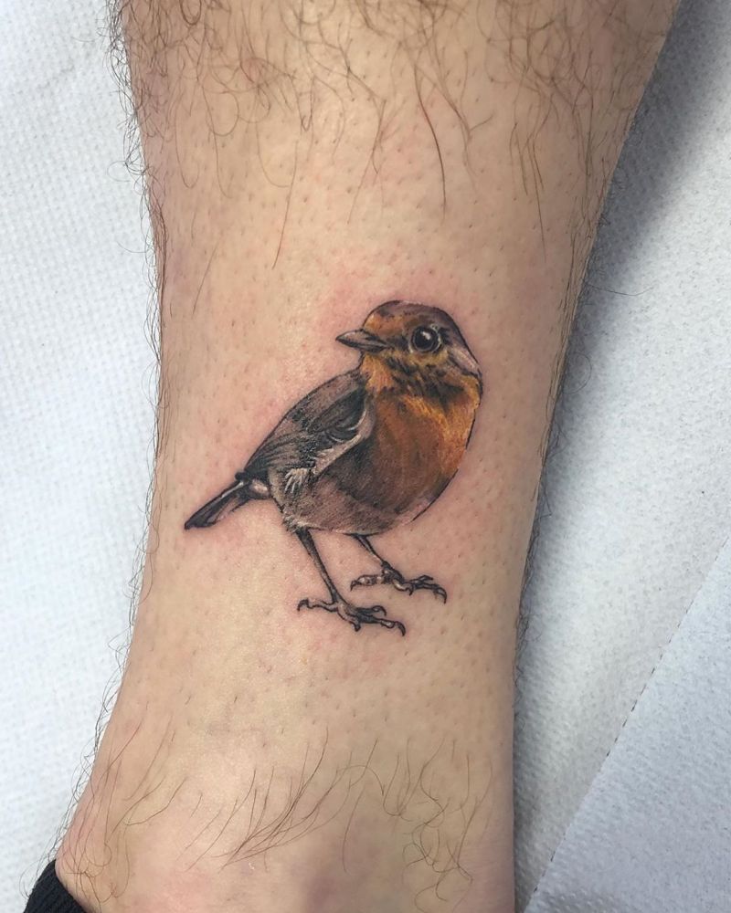 30 Pretty Robin Tattoos You Must Try